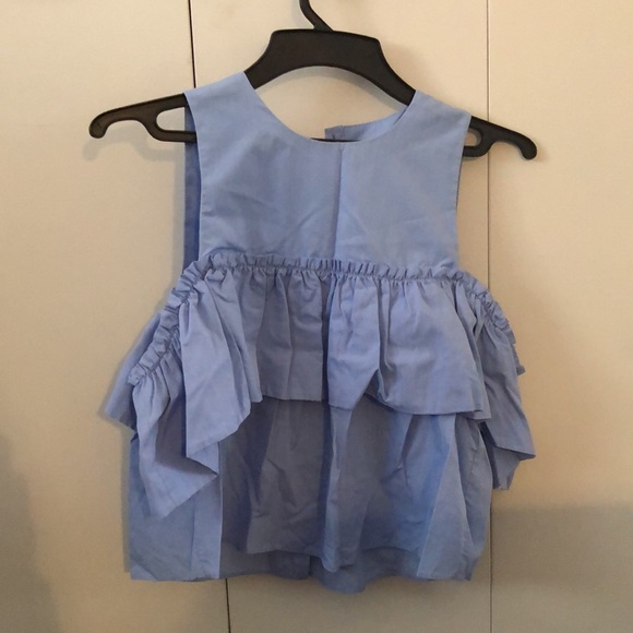 Zara Top - Picture 2 of 3